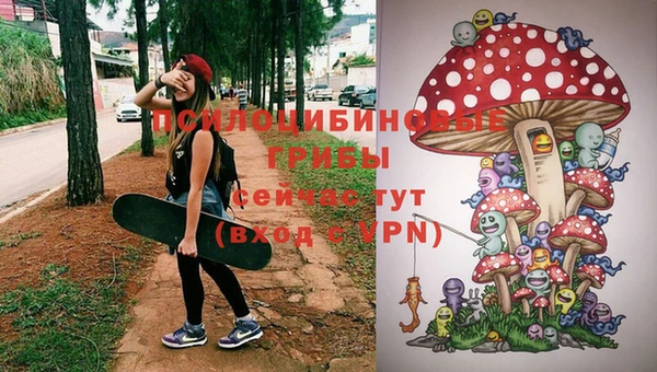 гидропоника Алзамай
