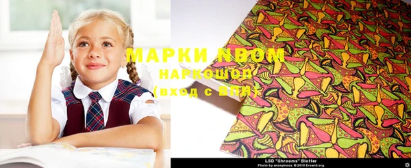 гидропоника Алзамай