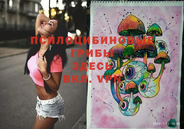 герыч Алексин