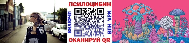 купить   Куйбышев  Псилоцибиновые грибы мицелий 